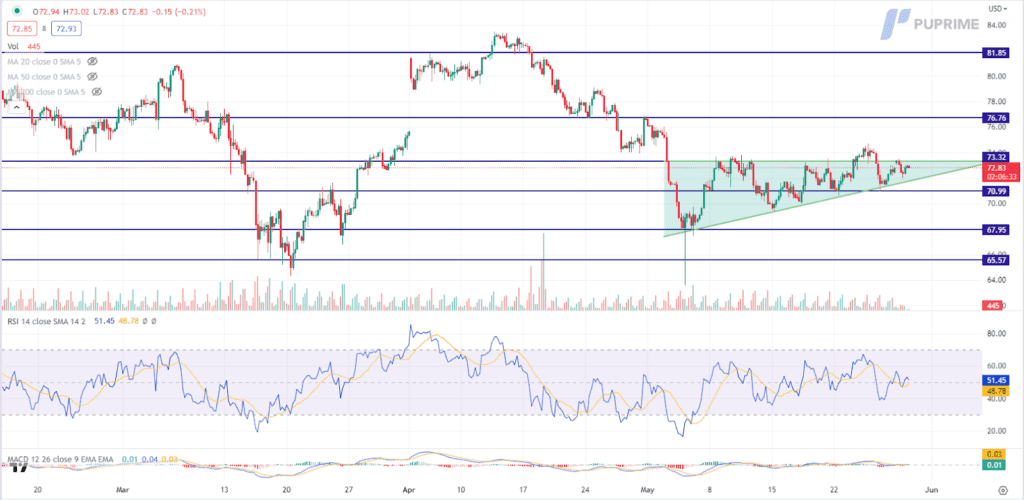 crude oil price chart 30 may 2023