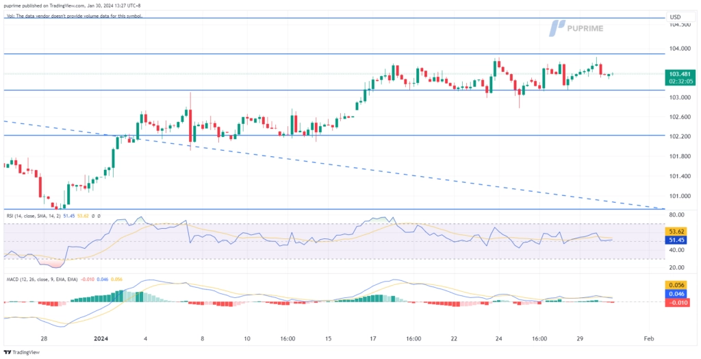 dollar index dxy price chart 30 January 2024