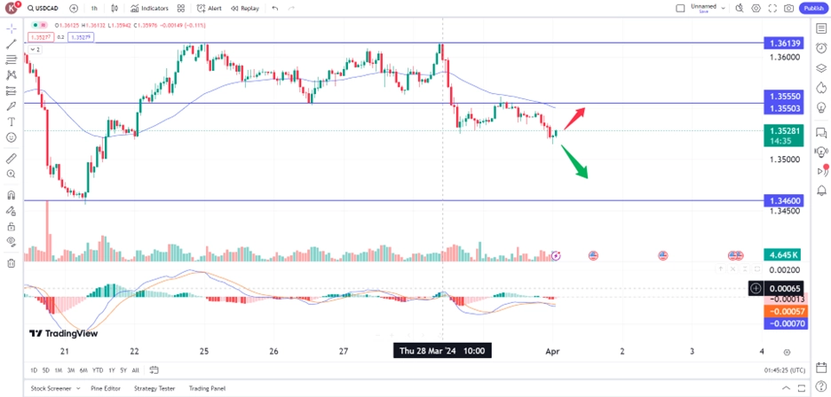 loonie rises on bright economic outlook trading opportunities 1 April 2024