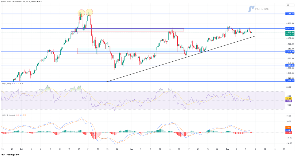 image – PU Prime | More Than Trading