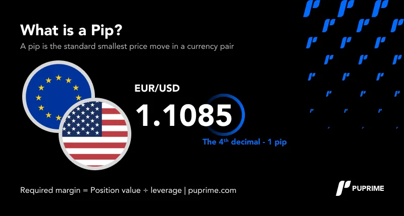 What is a Pip