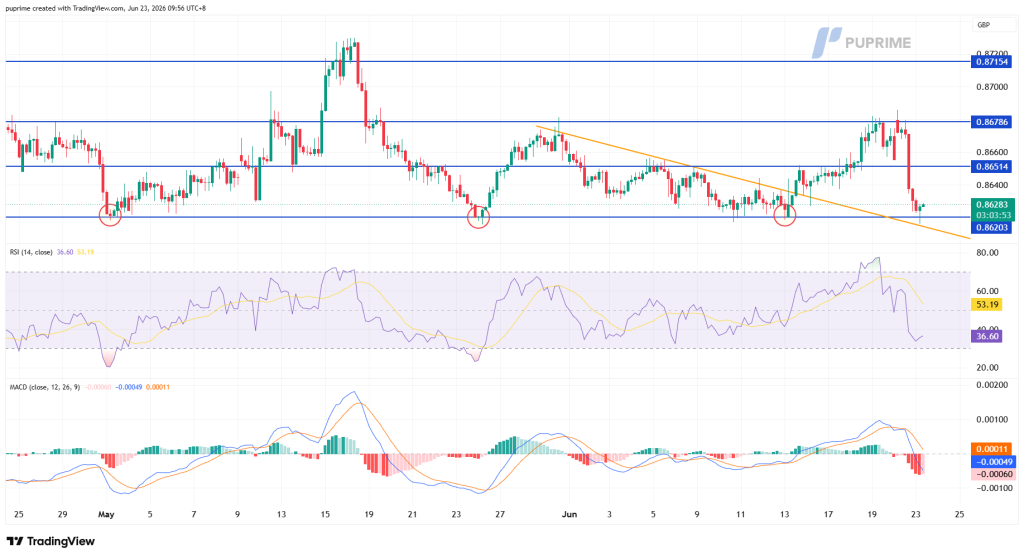 image – PU Prime | More Than Trading GBP/USD price chart showing multiple support and resistance lines (around 0.8620, 0.8651, 0.8678) with an orange downward trendline; red/green candles mark price moves and three circled reversal points near support. The lower panels display RSI (with ~36 and 54 readings) and MACD indicators.