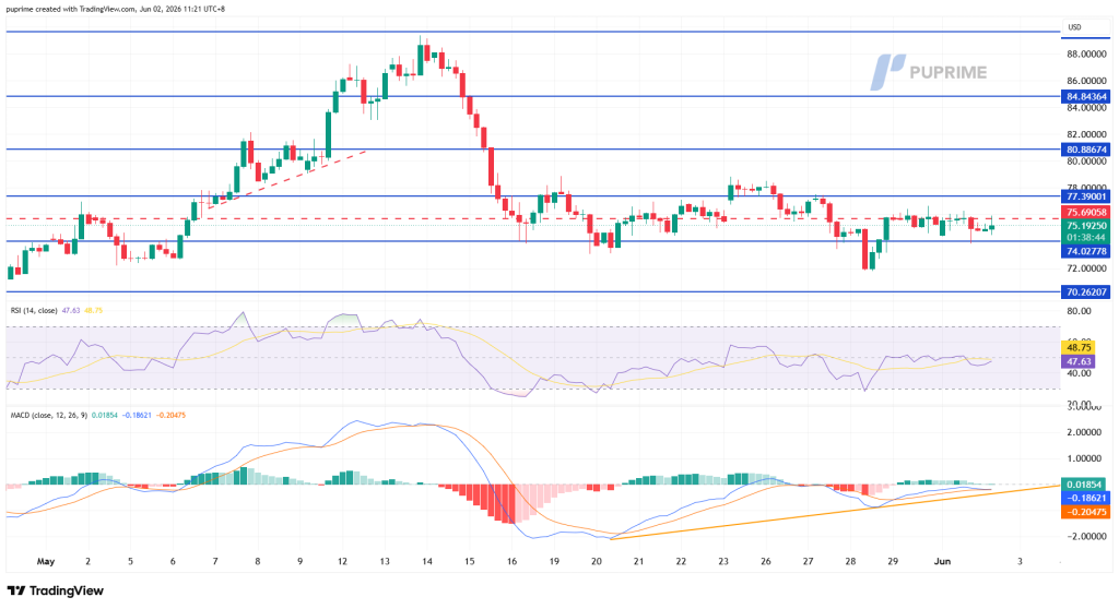 image – PU Prime | More Than Trading Candlestick price chart with multiple blue support/resistance lines, RSI and MACD indicators below.