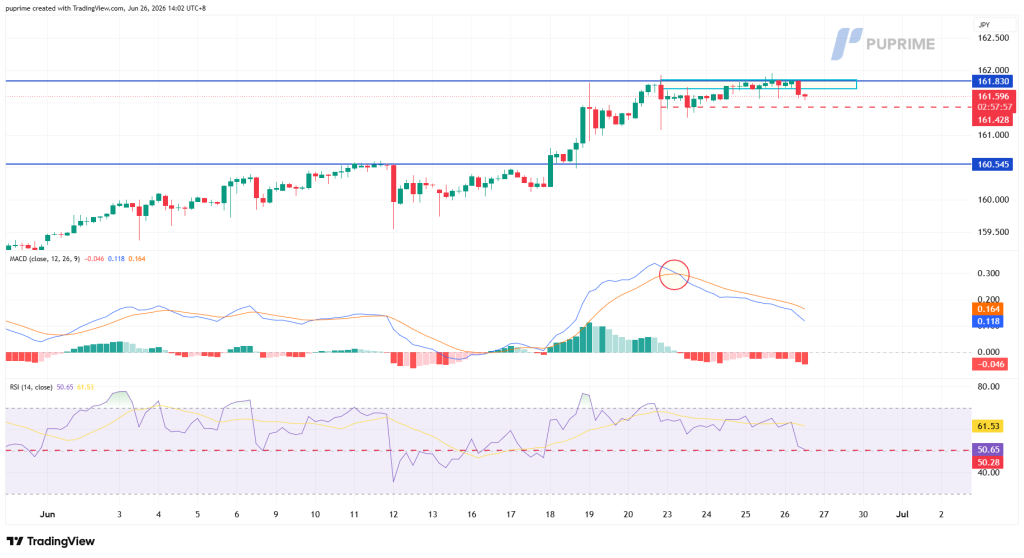 Candlestick chart of USD/JPY with price near 161.6, showing horizontal resistance around 162 and support at 160.545; MACD crossover area circled and RSI around mid-range, indicating a potential pullback.