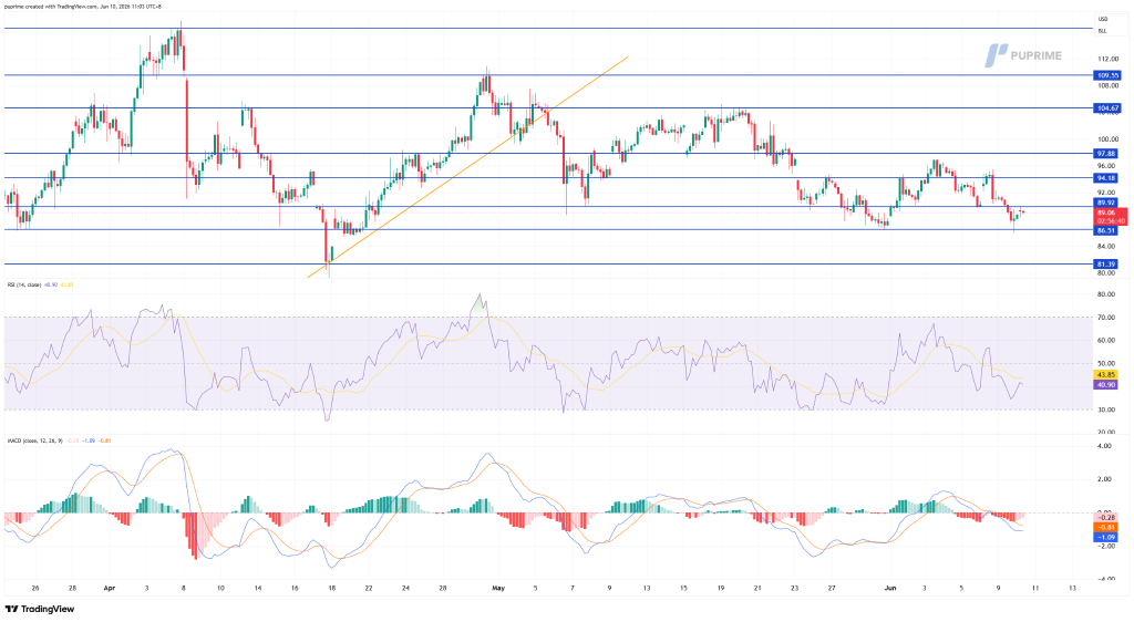 Candlestick price chart with multiple blue support and resistance lines; RSI and MACD indicators shown below the price panel.