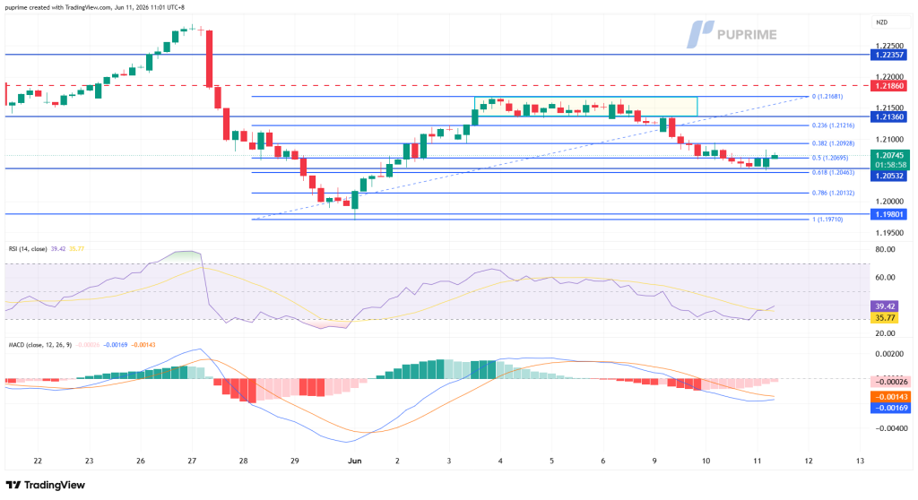 image – PU Prime | More Than Trading USD/NZD-like price chart with candlesticks and multiple support/resistance lines; RSI and MACD indicators shown below.