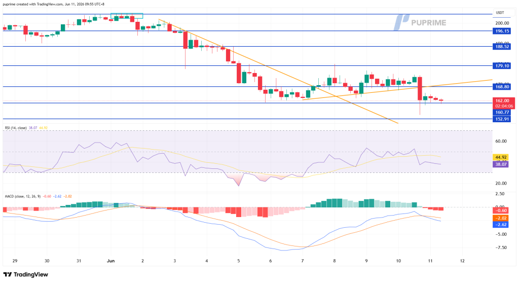 image – PU Prime | More Than Trading Trading chart of USDT with multiple blue support/resistance lines, orange trendlines, and candlesticks; RSI and MACD panels shown below.