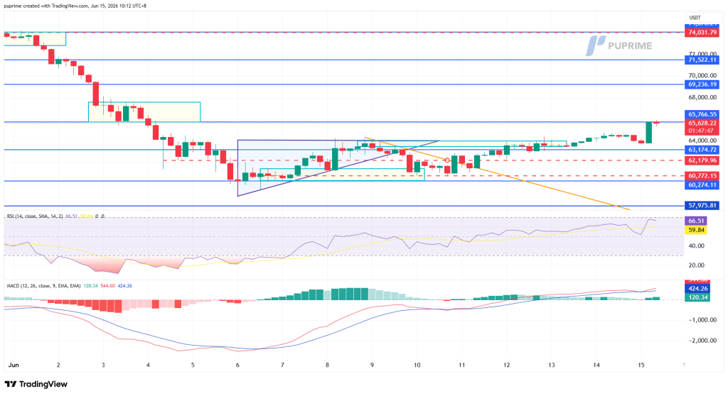 Candlestick chart of USDT with multiple blue support lines, red/green candles, and RSI/MACD panels below the price data.