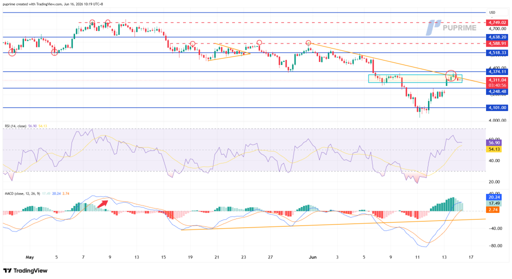 image – PU Prime | More Than Trading Candlestick price chart with multiple horizontal support/resistance lines and an orange downward trendline; circles mark key reversals and breakouts; blue rectangles highlight consolidation zones; RSI and MACD indicators shown below to confirm momentum.
