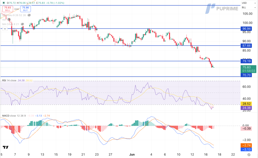 image – PU Prime | More Than Trading Candlestick chart in a downtrend with four blue lines at 96.94, 87.66, 79.19 and 70.70; current price about 75.83.