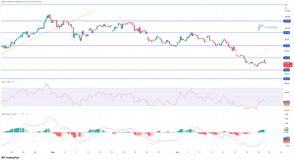 image – PU Prime | More Than Trading Price chart with multiple blue horizontal support and resistance lines; RSI and MACD indicators shown below.
