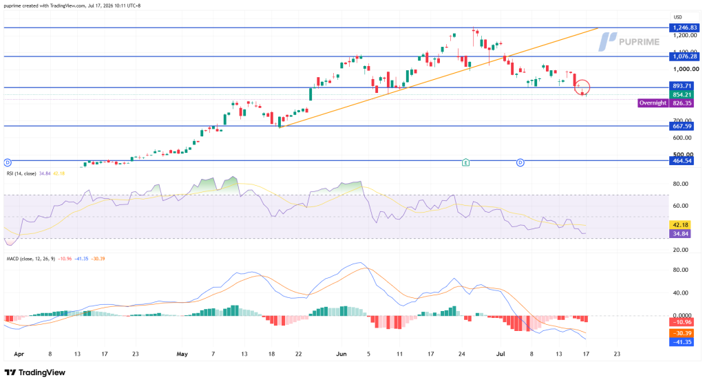 image – PU Prime | More Than Trading Price chart showing PPRIME with an orange uptrend line and blue horizontal support/resistance lines; recent drop near support is circled; RSI and MACD shown below.