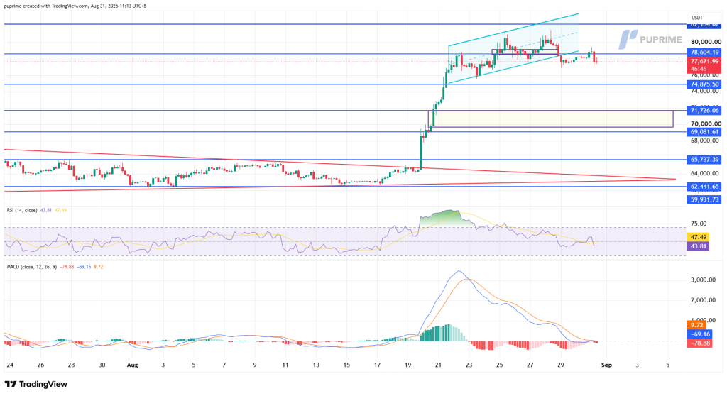 BTCUSDT_2026-08-31_11-13-14_d65f4 – PU Prime | More Than Trading