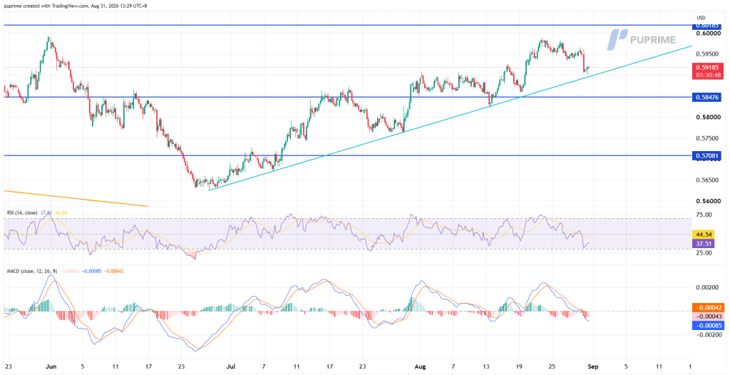 image – PU Prime | More Than Trading