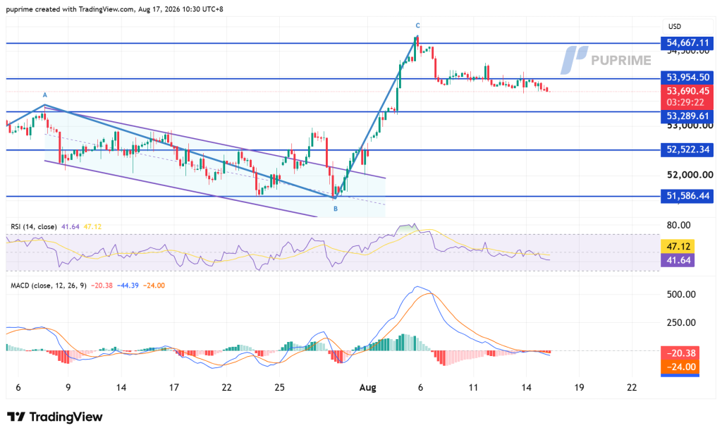 image – PU Prime | More Than Trading TradingView price chart with blue horizontal support/resistance lines and a sharp rally from point B to C around 54k, plus RSI and MACD panels below the chart.