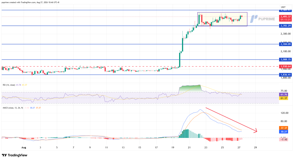 image – PU Prime | More Than Trading
