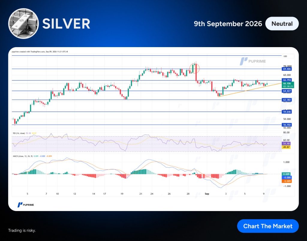 image – PU Prime | More Than Trading Price chart labeled Silver with multiple horizontal support and resistance lines, RSI and MACD indicators below, showing a rising trend and a recent price spike.
