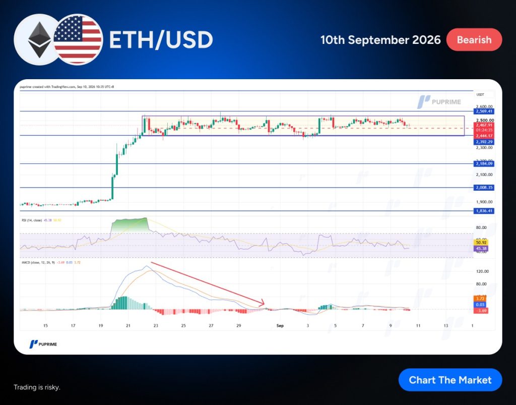 image – PU Prime | More Than Trading