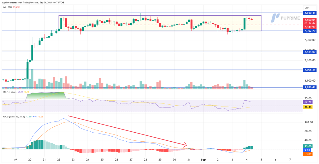 image – PU Prime | More Than Trading
