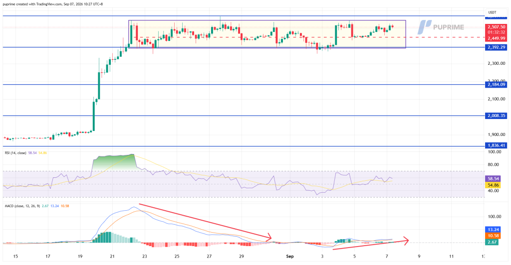 image – PU Prime | More Than Trading