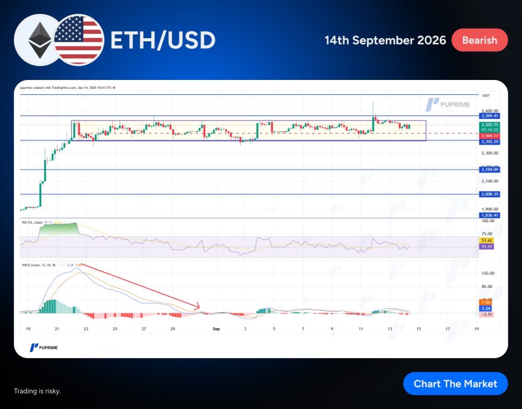 image – PU Prime | More Than Trading