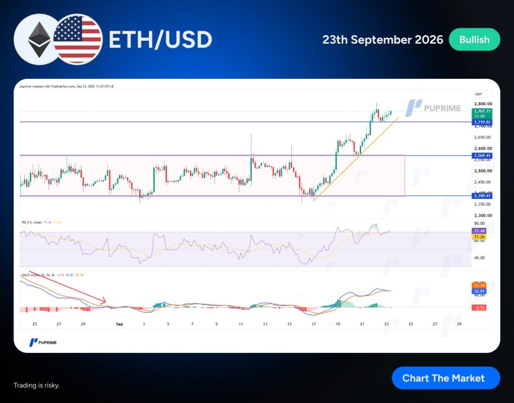 image – PU Prime | More Than Trading
