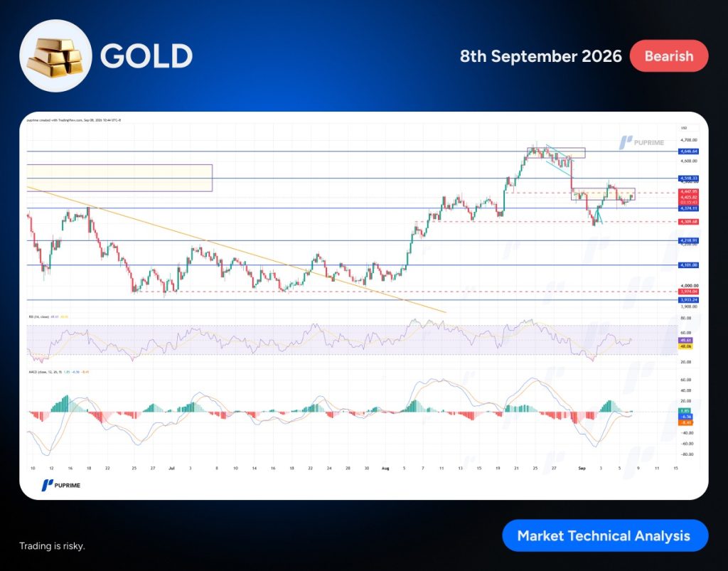image – PU Prime | More Than Trading